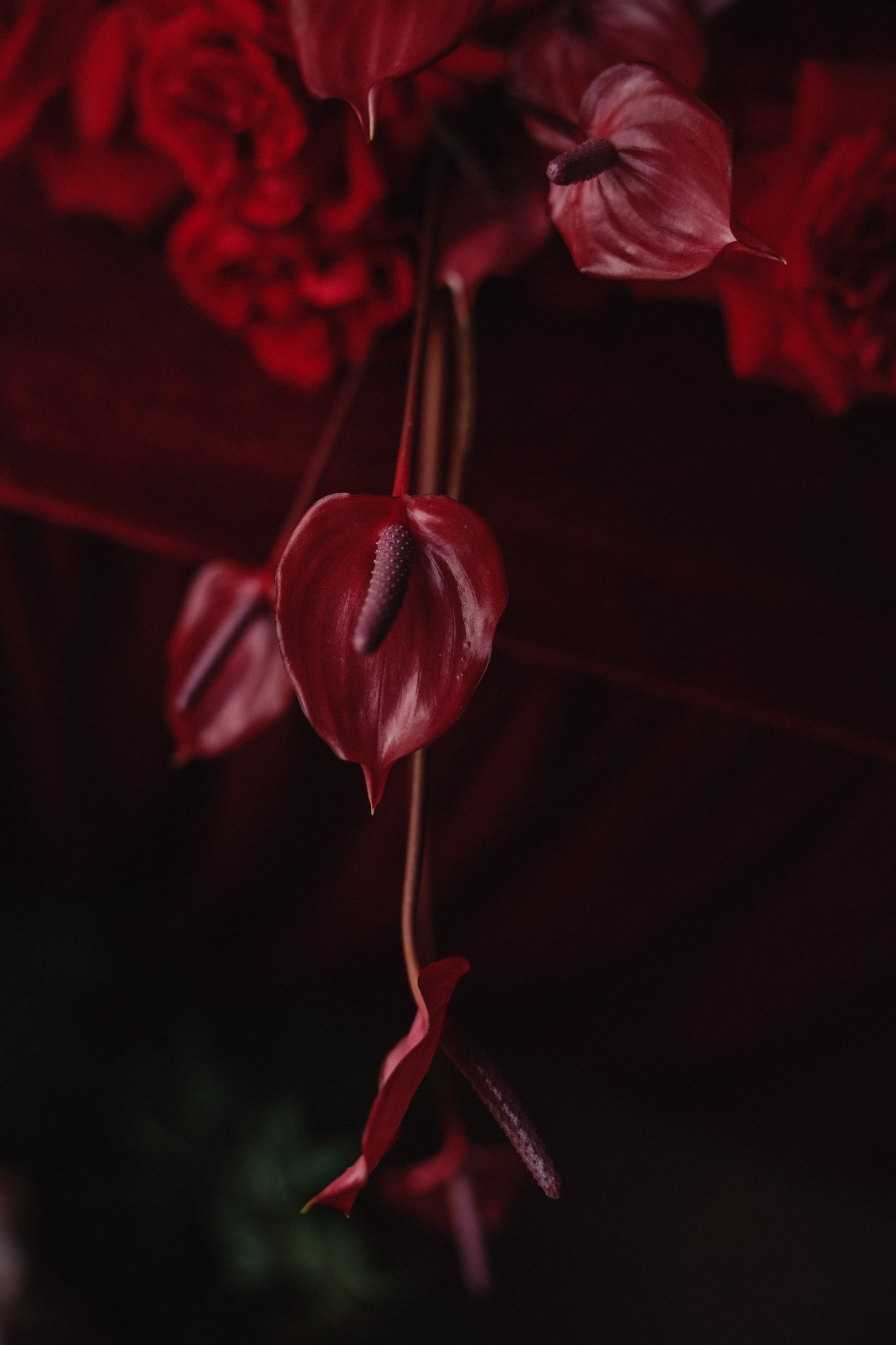 Midu & Minh Đạt — Wedding day documentary, photo 2, Khuất Quang Huy