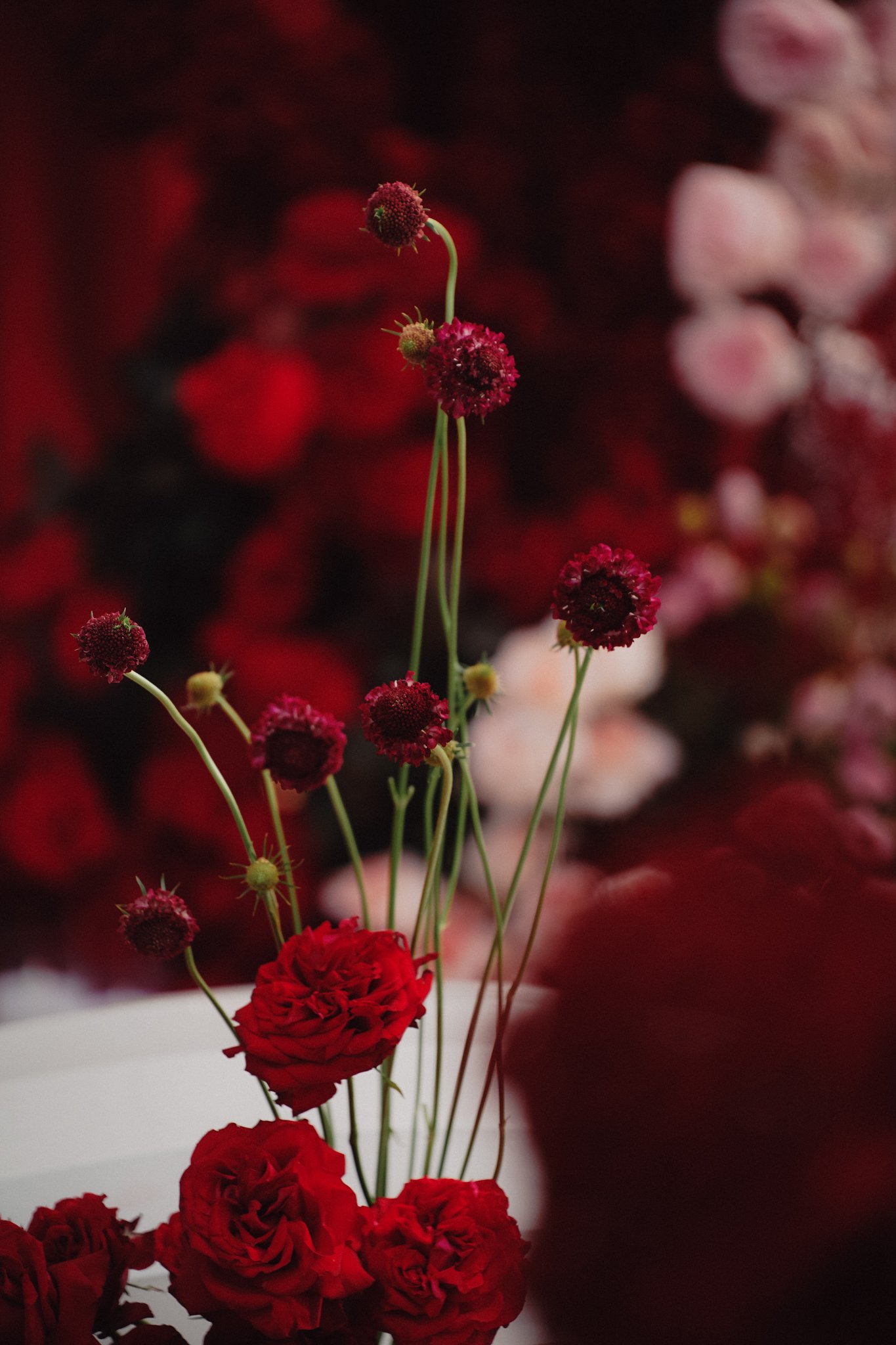 Midu & Minh Đạt — Wedding day documentary, photo 11, Khuất Quang Huy